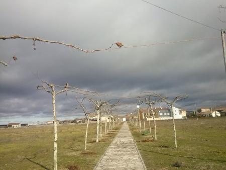 PASEO PISCINAS