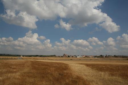 campos de trigo