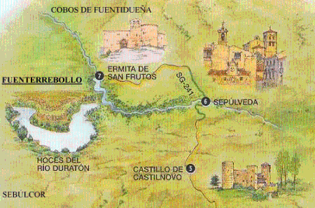 rutabuitre