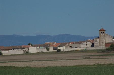 DSC_0427