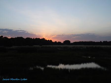 DSCF0472