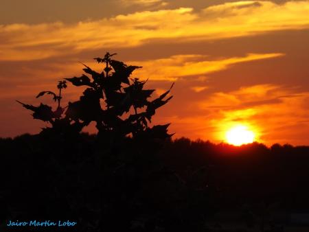 DSCF1086