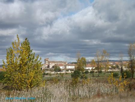 DSCF8925