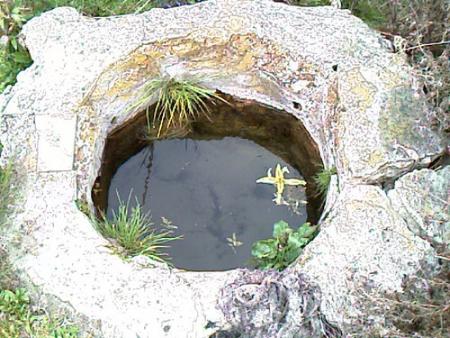 CUBO TERREÑA