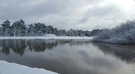 foto nieve david