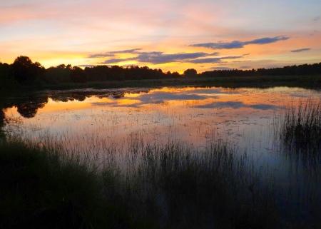 LAGUNA 5