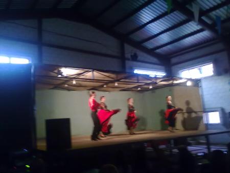 flamenco 4