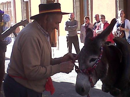 Fuenterrebollo-20140503-00011