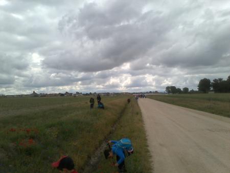 IMG-20140531-01589