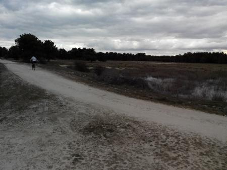 IMG-20150315-WA0050