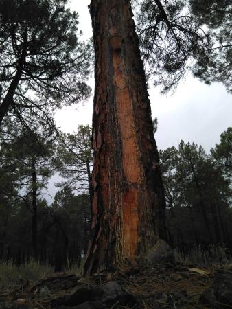 concurso (34)