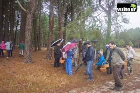 thumbnail_Juan Matute-21102017-_MG_1188